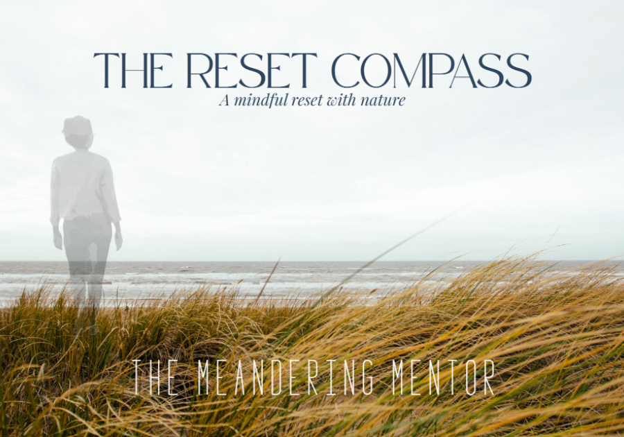 Nature-based Mentoring with Sandra Lloyd The Meandering Mentor Life Transitions Coach